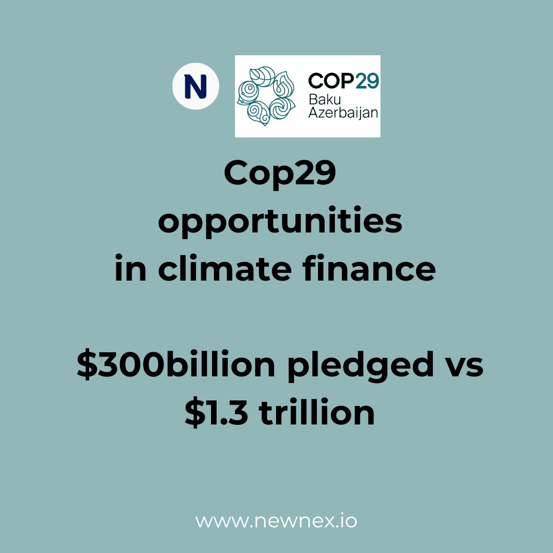 COP29: Pledges, Progress, and Persistent Challenges in the Climate Fight