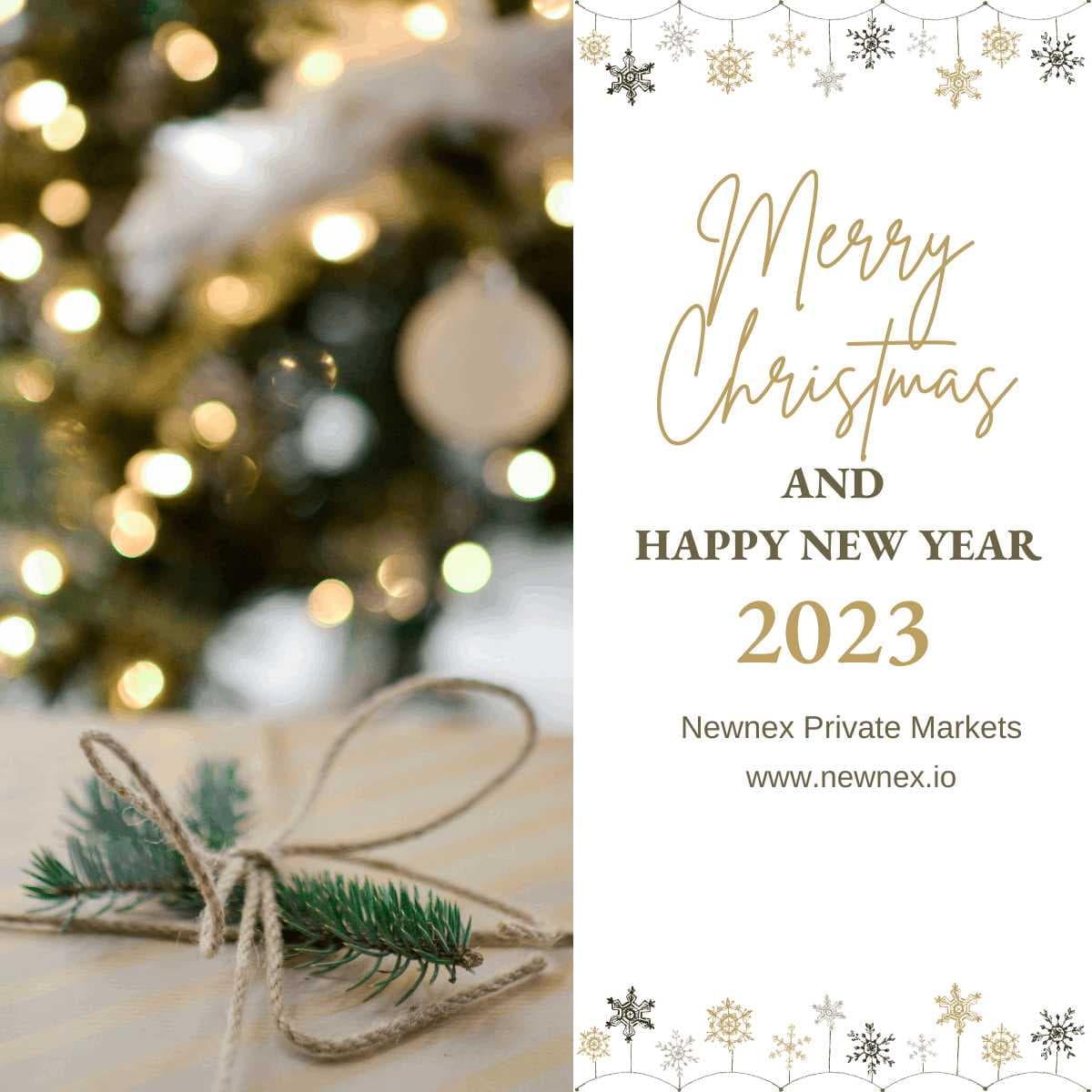 Newnex wishes you a Merry Christmas and a Happy New year